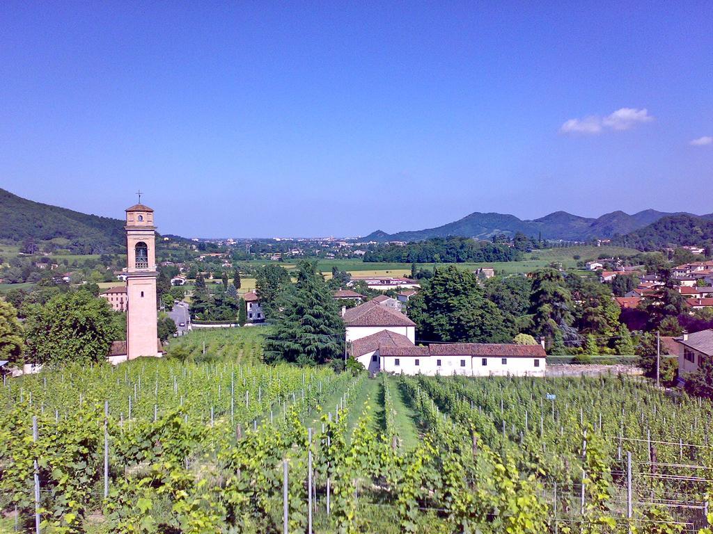 Villa Pollini Torreglia Kültér fotó