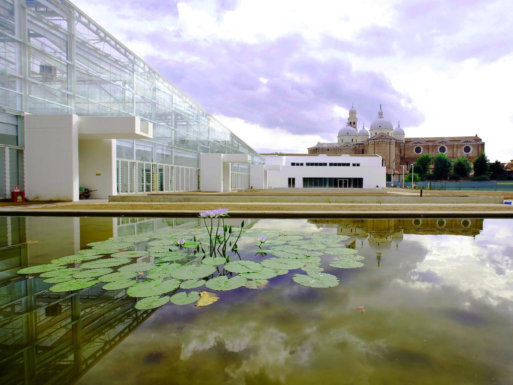 Villa Pollini Torreglia Kültér fotó
