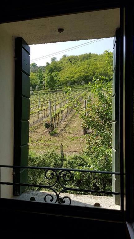 Villa Pollini Torreglia Kültér fotó